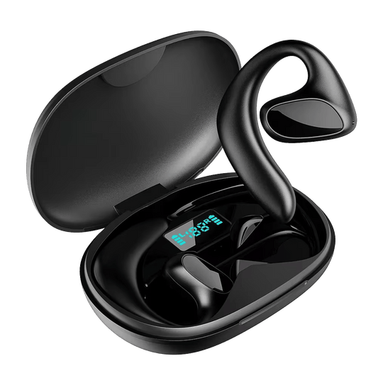Luxeraum.de Translator Earbuds Schwarz GlotBud v2 4