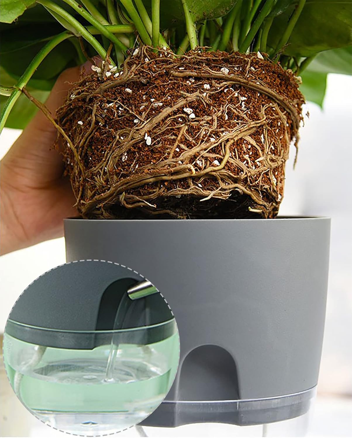 Luxeraum.de Pots Kräutertopf Set 3er selbstbewässernd für Küche, Blumentopf Fensterbank mit Wasserstandsanzeige, 18,2 × 11 × 15,3 cm, Grau