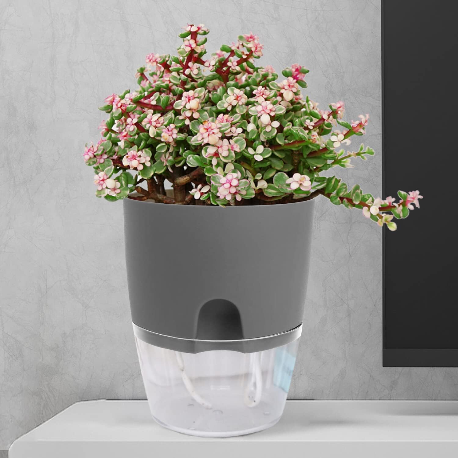 Luxeraum.de Pots Kräutertopf Set 3er selbstbewässernd für Küche, Blumentopf Fensterbank mit Wasserstandsanzeige, 18,2 × 11 × 15,3 cm, Grau