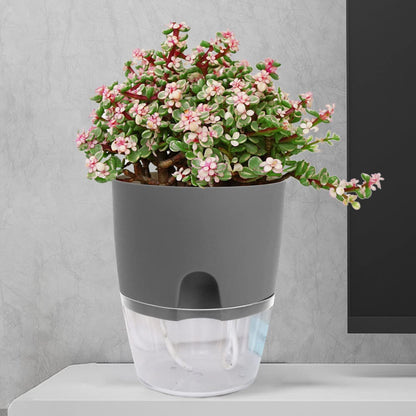 Luxeraum.de Pots Kräutertopf Set 3er selbstbewässernd für Küche, Blumentopf Fensterbank mit Wasserstandsanzeige, 18,2 × 11 × 15,3 cm, Grau