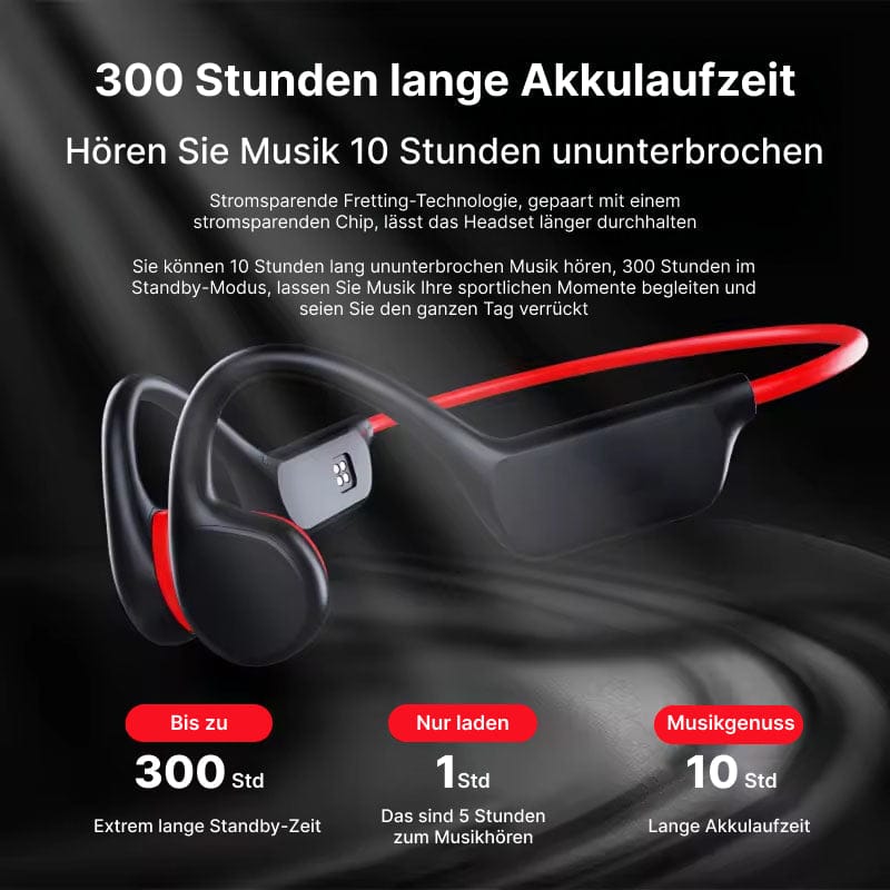 Luxeraum.de Schwimm-Ohrhörer WavxBuds
